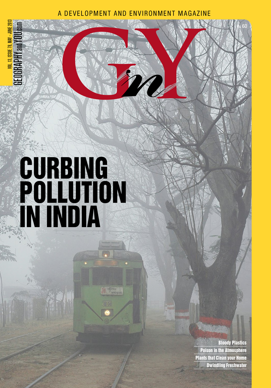 Curbing Pollution in India cover